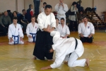 Отчет о семинаре по айкидо сэнсэя Тсунео Андо, 3 - 6 июня 2010г.